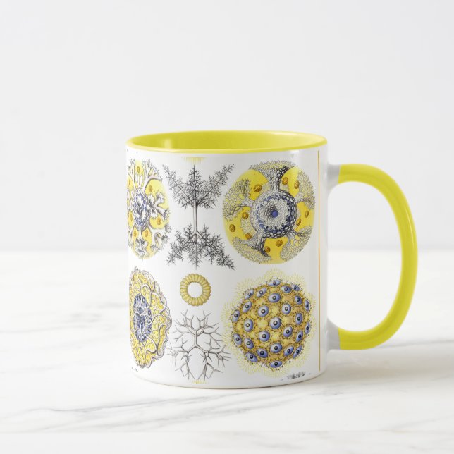 Macro Sea Creatures Amoeba Mug (Right)