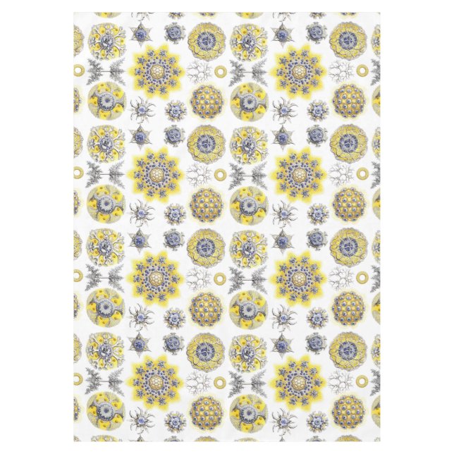 Macro Sea Creatures Amoeba Tableware Tablecloth (Front)
