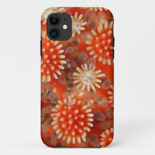 Macro Sea Star Case-Mate iPhone Case