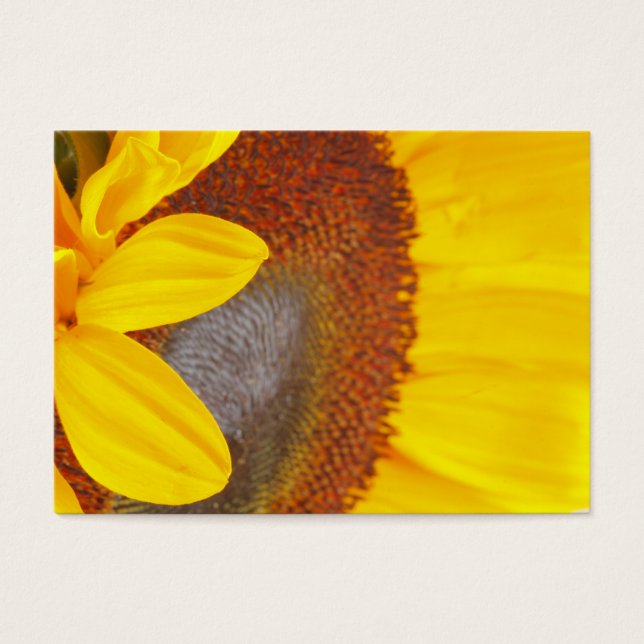 Macro Sunflower Profile Card (Front)