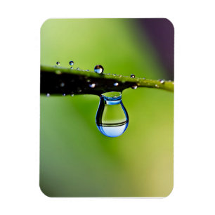 Macro water drops magnet