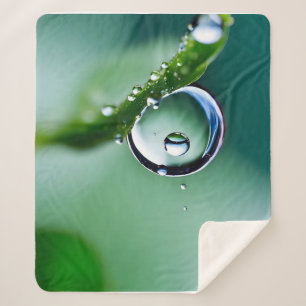 Macro water drops sherpa blanket