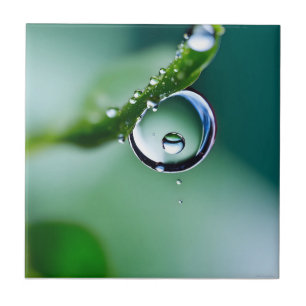 Macro water drops tile