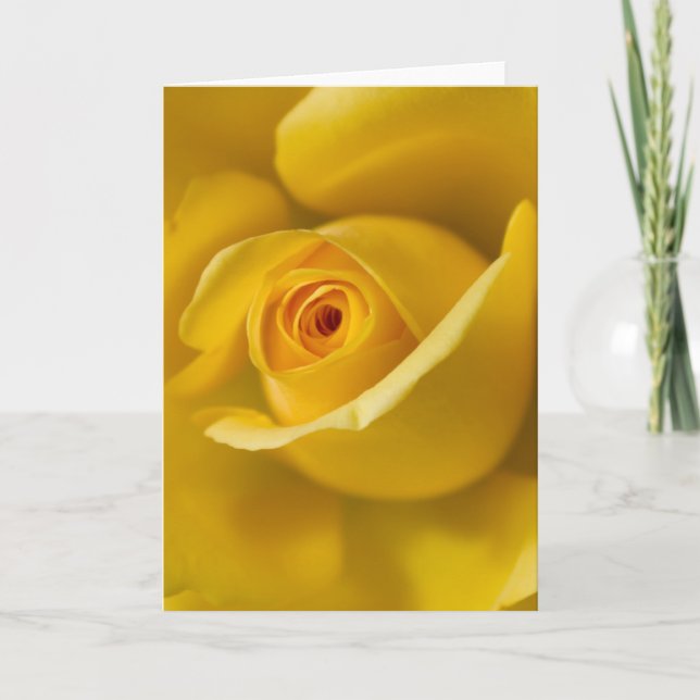 Macro Yellow Rose Card (Front)