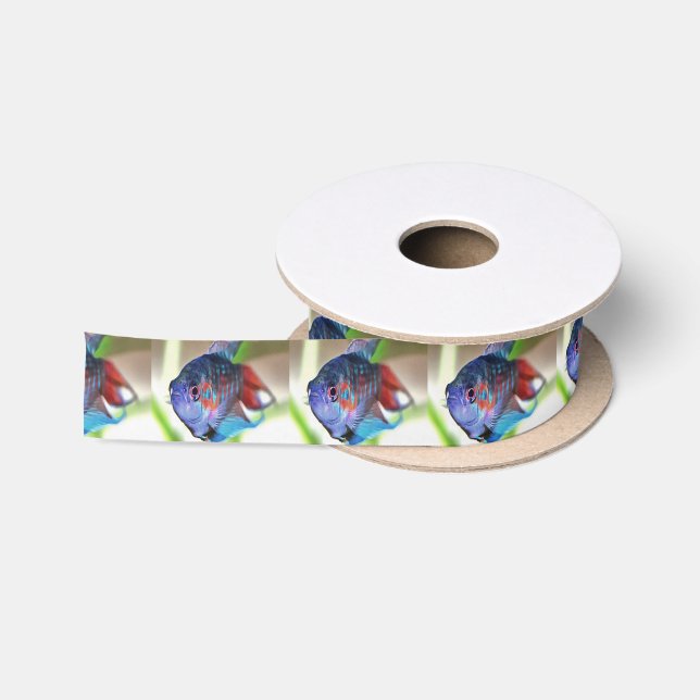 Macropodus Opercularis Aquarium Fish Satin Ribbon (Spool)