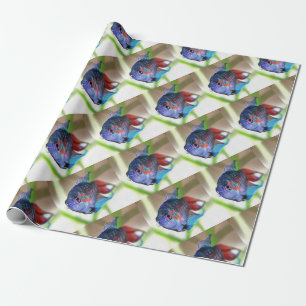 Macropodus Opercularis Aquarium Fish Wrapping Paper