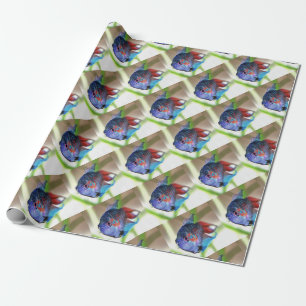 Macropodus Opercularis Aquarium Fish Wrapping Paper