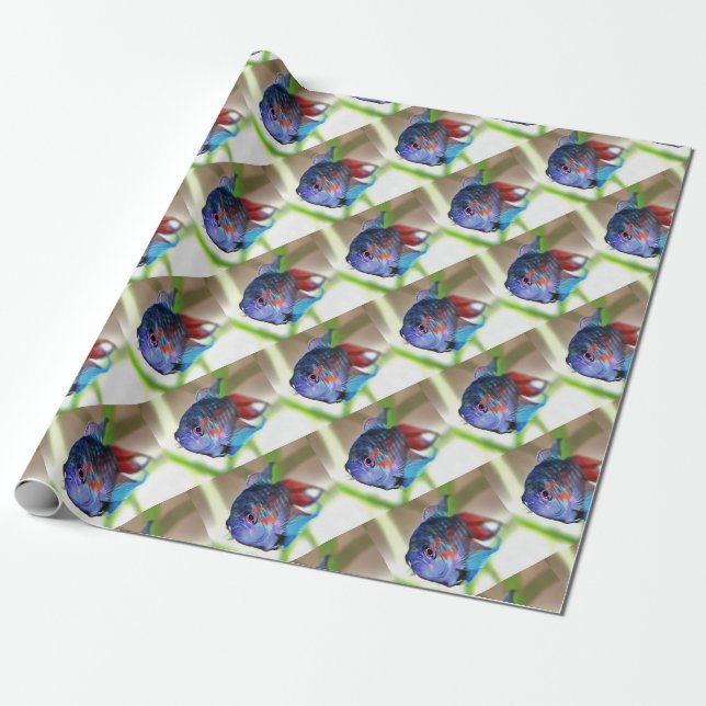 Macropodus Opercularis Aquarium Fish Wrapping Paper (Unrolled)