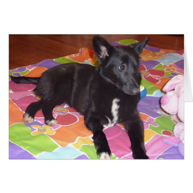 Macy (Front Horizontal)