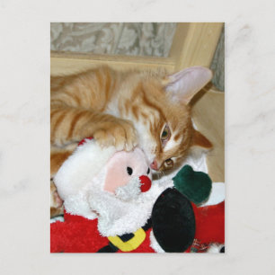 Mad at Santa Holiday Postcard