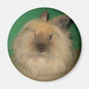 Mad Bunny Magnet