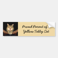 Mad Cat Painting - Cute Original Cat Art