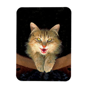 Mad Cat Painting - Cute Original Cat Art Magnet