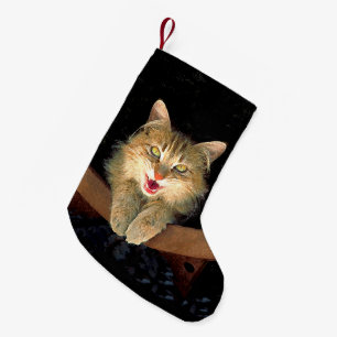 Mad Cat Painting - Cute Original Cat Art Small Christmas Stocking