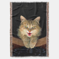 Mad Cat Painting - Cute Original Cat Art