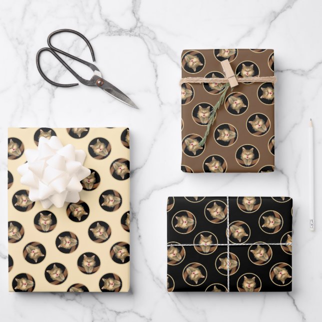 Mad Tabby Cat Portrait Painting Cute Original Art Wrapping Paper Sheet (Front)