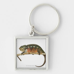 Madagascar 2 key ring