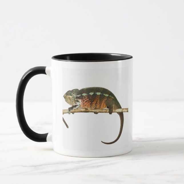 Madagascar 2 mug (Left)