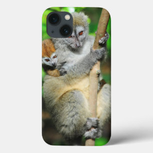 Madagascar, Andasibe, Ile Aux Lemuriens, Mother iPhone 13 Case