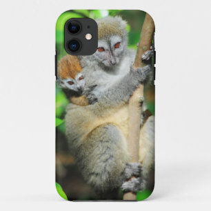 Madagascar, Andasibe, Ile Aux Lemuriens, Mother Case-Mate iPhone Case