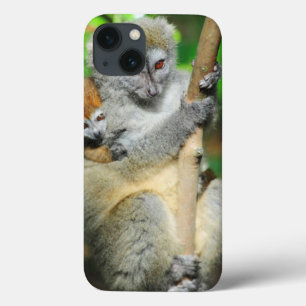 Madagascar, Andasibe, Ile Aux Lemuriens, Mother iPhone 13 Case