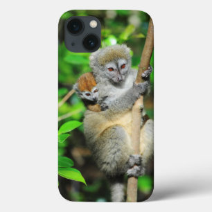 Madagascar, Andasibe, Ile Aux Lemuriens, Mother iPhone 13 Case