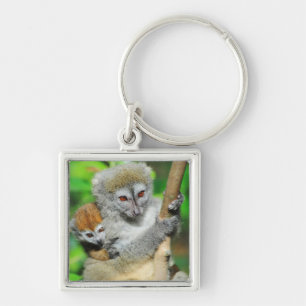 Madagascar, Andasibe, Ile Aux Lemuriens, Mother Key Ring