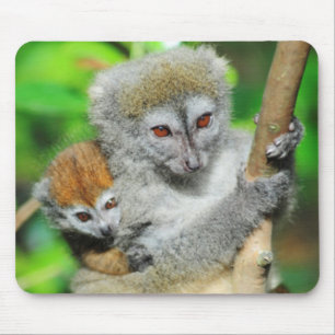 Madagascar, Andasibe, Ile Aux Lemuriens, Mother Mouse Pad