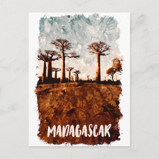 Madagascar Avenue of the Baobabs Scenery Postcard (Front)