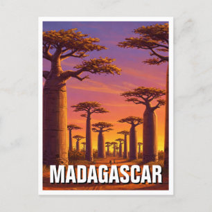 Madagascar Avenue of the Baobabs Travel Postcard