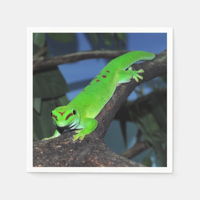 Madagascar day gecko napkin (Front)