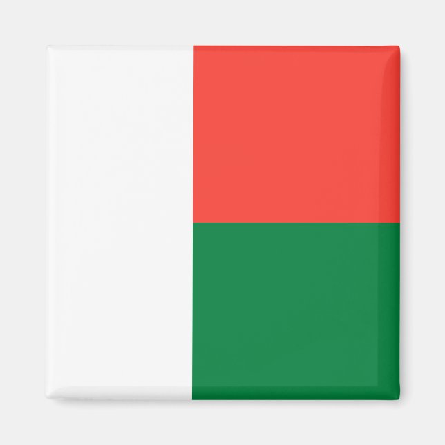 Madagascar Flag Magnet (Front)