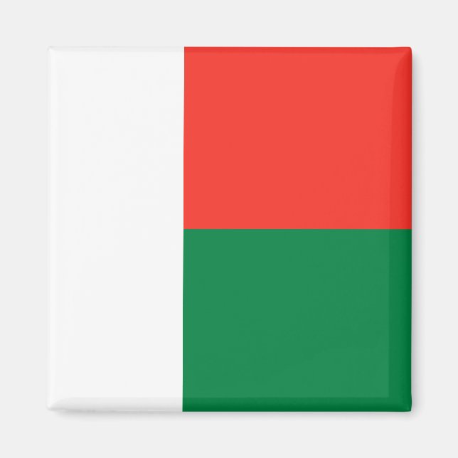 Madagascar Flag Magnet (Front)
