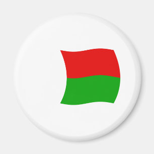 Madagascar Flag Magnet