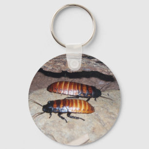 Madagascar Hissing Cockroach Key Ring