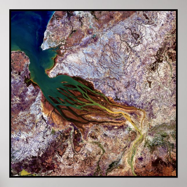 Madagascar Jellyfish Poster (Front)