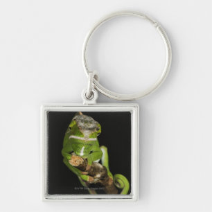 Madagascar Key Ring