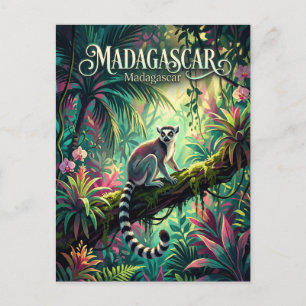 Madagascar Rainforests Madagascar Postcard