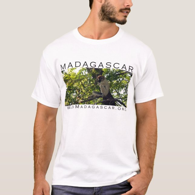 MADAGASCAR: sifaka lemur shirt (Front)