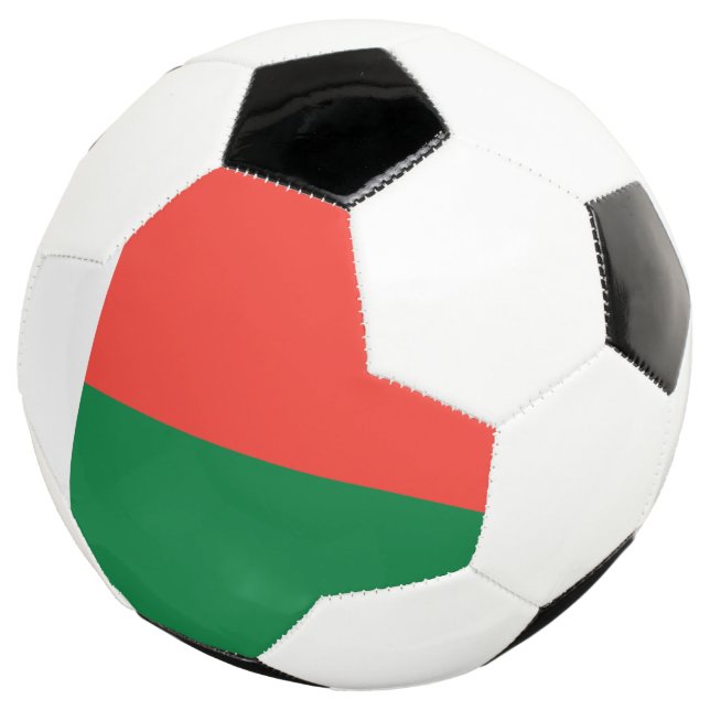 madagascar soccer ball (Three Quarter)
