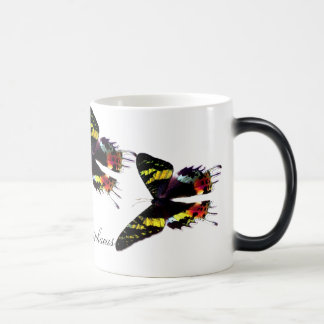 Madagascar Sunset Moth Magic Mug