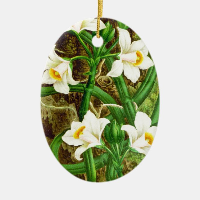 Madagascar Vanilla Orchid Ceramic Tree Decoration (Front)