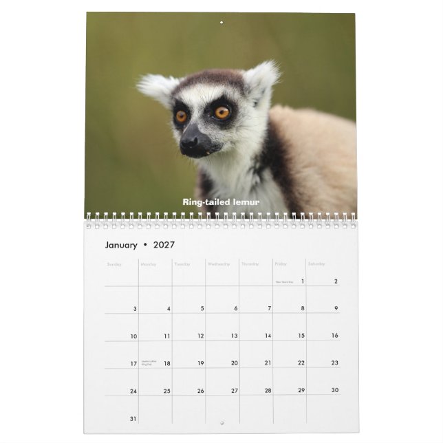 Madagascar Wildlife Calendar (Jan 2027)