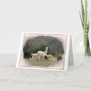 Madame Pompadour Card