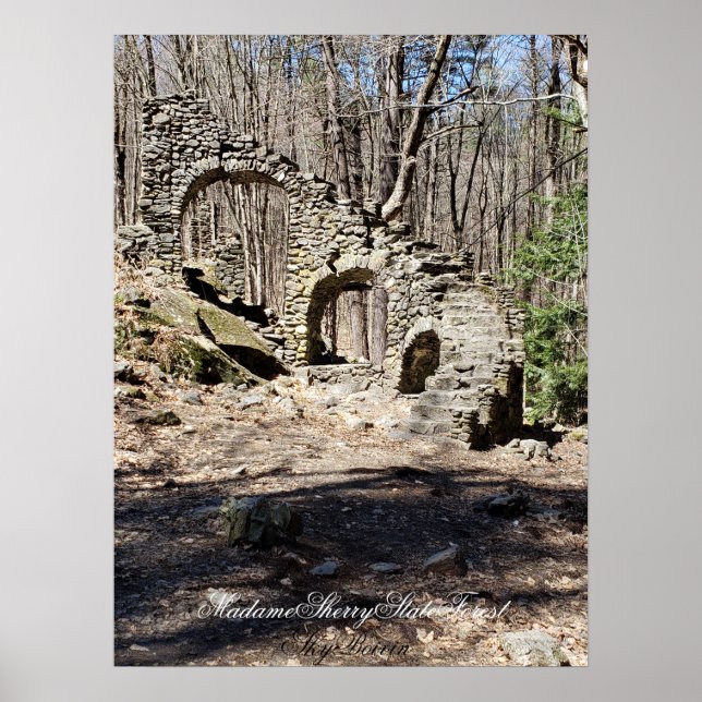 Madame Sherry State Forest Poster (Front)
