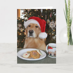 Maddi Waiting on Santa Thank You Card