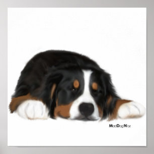 MadDog's Sneak a Peek Print