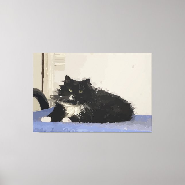 Maddy The Cat Stretched Canvas Print (Front)