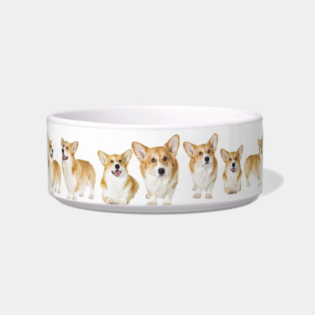 Made for Royalty, Adorable Corgi Medium Pet Bowl (Front)