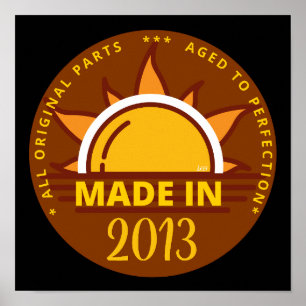 MADE IN 2013 funny birthday gift                   Poster